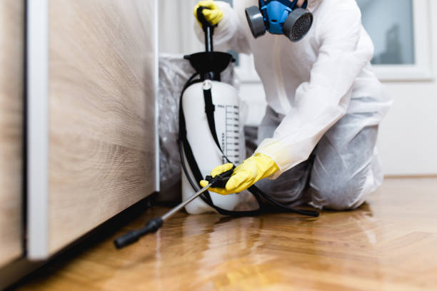 Best Emergency Pest Control  in Norton, OH