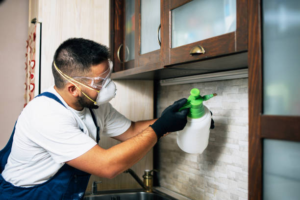 Best Best Pest Control Companies  in Norton, OH