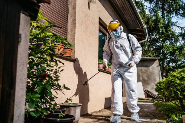 Best Local Pest Control Services  in Norton, OH