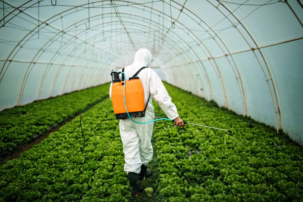 Best Pest Prevention Services  in Norton, OH