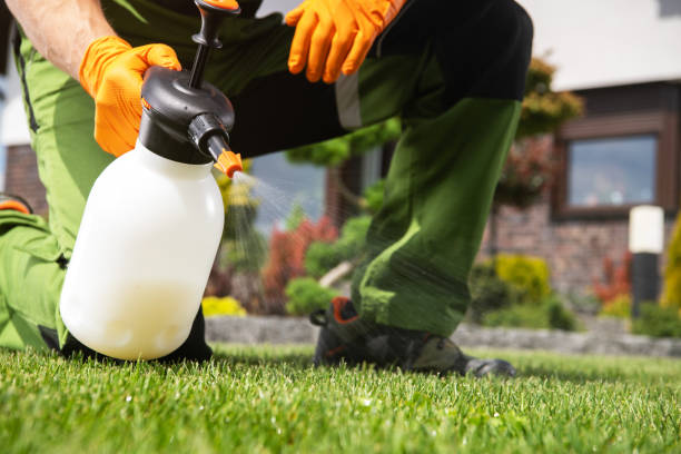 Wildlife Control Services in Norton, OH