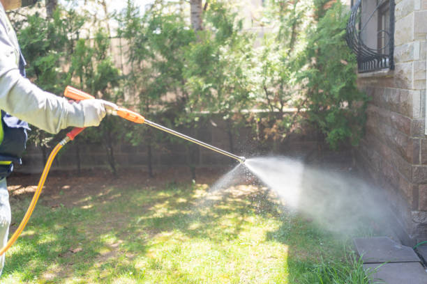 Best Wildlife Control Services  in Norton, OH