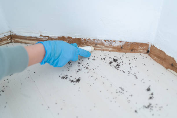 Best Commercial Pest Control Services  in Norton, OH