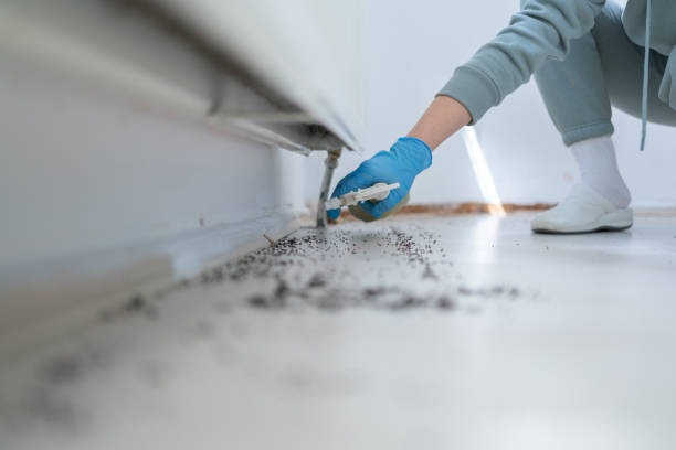 Best Pest Control Near Me in Norton, OH